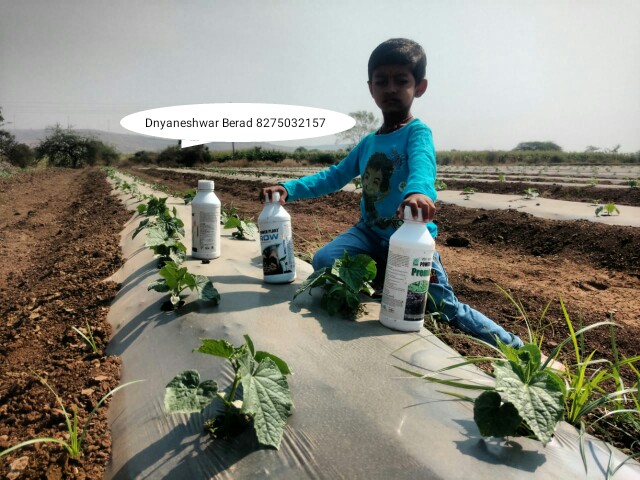 Green Planet Bio Products Ahmednagar Mobile  shop Ahmednagar
